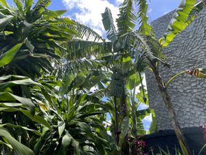   at The Good Life in Cap Malheureux