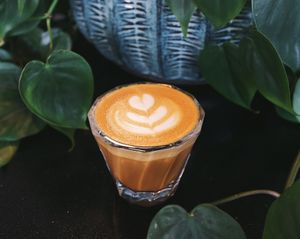 Oat Milk Cortado  at Rockford Roasting Company in Rockford
