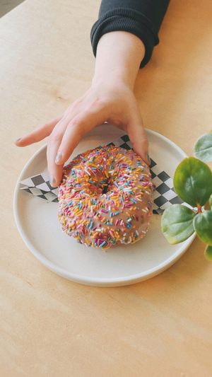 Plant-based donuts! at Rockford Roasting Company in Rockford
