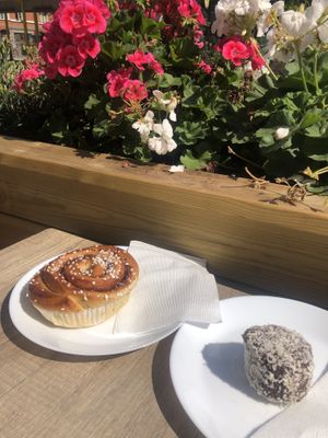 Plant based Kanelbullar (left) &chokladbollar (right)  at Mormors Bageri in Lund
