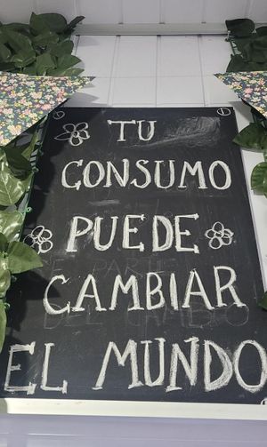 Activism at Mundo Vegano in Colonia Del Sacramento