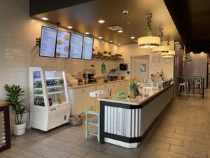 Inside  at Plantology  in San Antonio