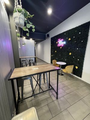 Inside  at Plantology  in San Antonio