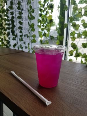  at Plantology  in San Antonio