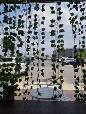  at Plantology  in San Antonio