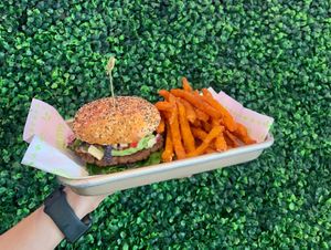   at Plantology  in San Antonio