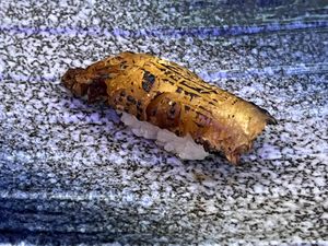   at Plant Bar in New York City