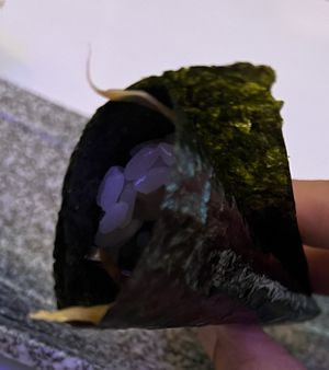   at Plant Bar in New York City