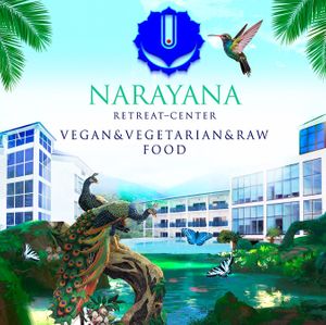  at Narayana - Нараяна in Sochi