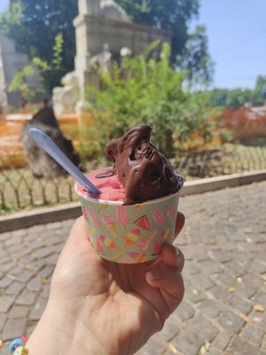 Strawberry and chocolate at Gelateria del Viale in Rome