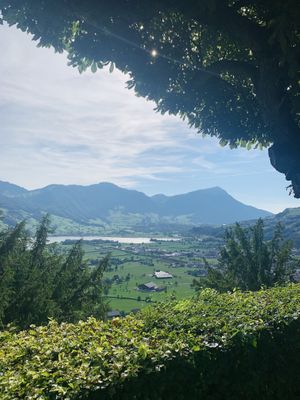 View from the garden to Rigi  at Sairaz Indian Fusion in Brunnen
