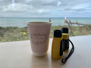   at The Liberty Kitchen in Banchory