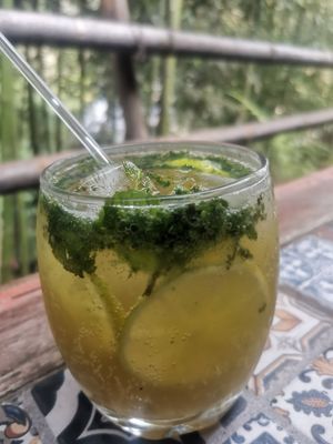 Cannabic mojito at Quelite in Coatepec