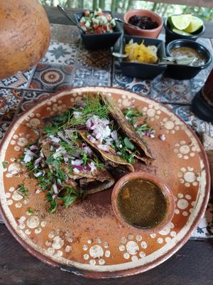Taquitos de birria vegana 🌱   at Quelite in Coatepec