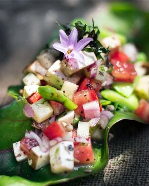  at Quelite in Coatepec