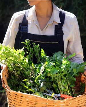  at Quelite in Coatepec