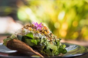  at Quelite in Coatepec