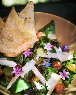  at Quelite in Coatepec