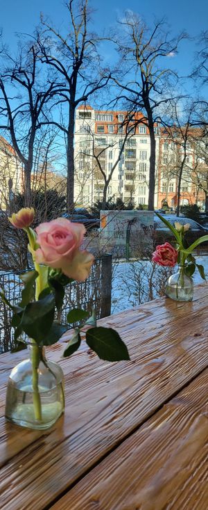 my favorite place to have breakfast this week in Berlin at Hey Schnecke in Berlin