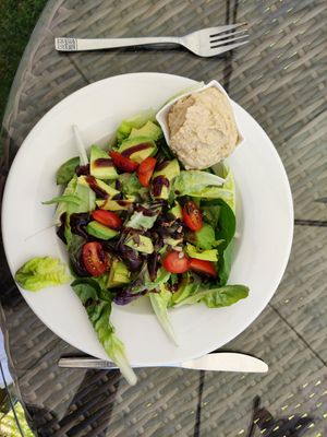Vegan Hummus and avocado salad at World Peace Cafe in Northampton