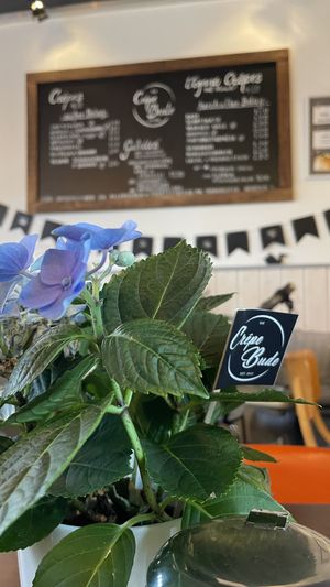 Ambiente  at Die Crêpe Bude - Café Crêpes und Mehr in Cologne