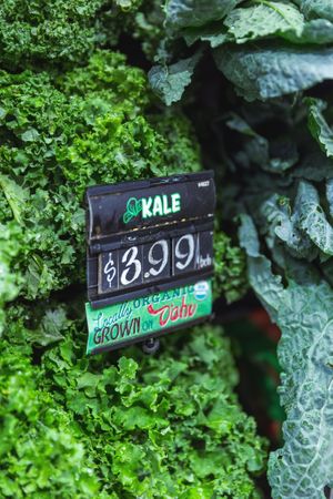 Fresh greens at Down to Earth  - Store and Deli in Kapolei