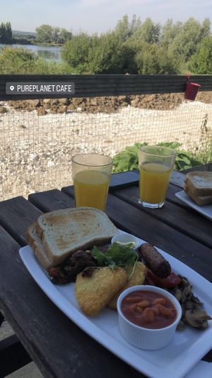   at Pureplanet Cafe & Shop in Rochester