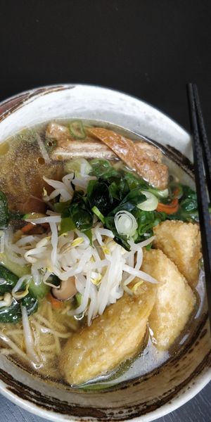 vegan ramen with extra tofu at Shoyu in Vienna