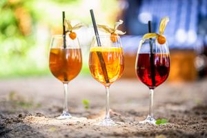  at Restaurant Tilia in Bad Schandau