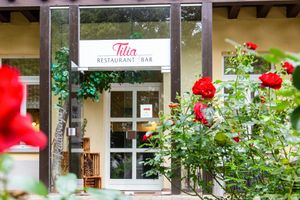  at Restaurant Tilia in Bad Schandau