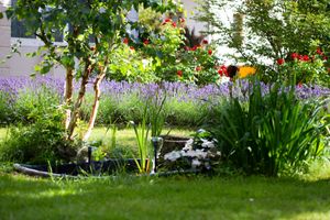  at Restaurant Tilia in Bad Schandau