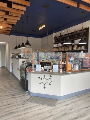 Super cute atmosphere  at Daily Dose Craft Bar in Jacksonville