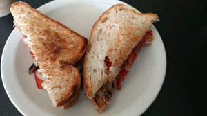 Vegan Panni - Forest at Vegetarian Express in Chicago