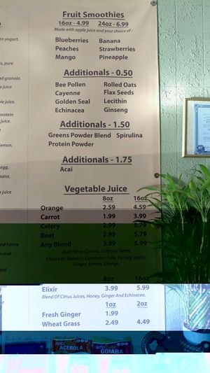 menu (6 of 6) at Vegetarian Express in Chicago