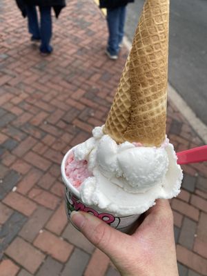 vegan strawberry and vanilla (both made with a coconut base)   at Moo Hope Ice Cream in New Hope