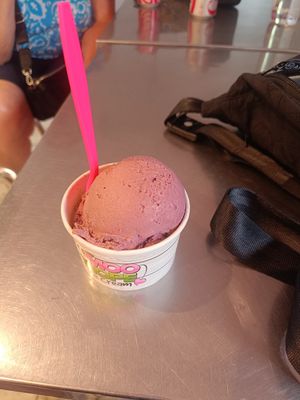  at Moo Hope Ice Cream in New Hope