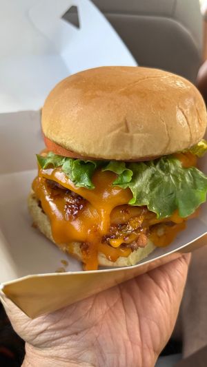 Dbl Plnt Burger at PLNT Burger in Boston