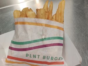 Crispy herb fries 1 #Veganuary at PLNT Burger in Boston