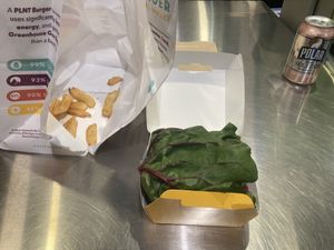 Double chz burger w added mushroom bac’n  roasted jalapeño and sub Swiss chard wrap  at PLNT Burger in Boston