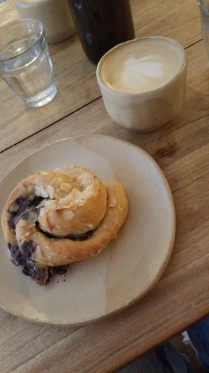 Babka at Beaten by a Whisker in London