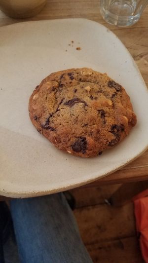 Cookie at Beaten by a Whisker in London