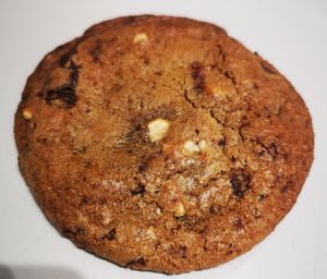 Cookie at Beaten by a Whisker in London