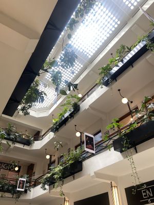 Cutest Interior with Live Plants and Shopping  at Pali Pali Alameda in Mexico City