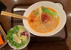 vegan tantan men  at T's Restaurant in Tokyo