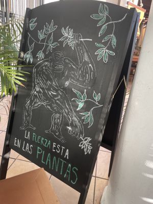  #Veganuary at Coral Vegan Pizza in Playa Del Carmen