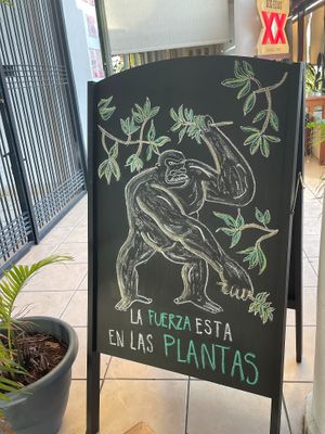  at Coral Vegan Pizza in Playa Del Carmen