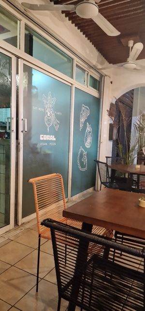 Interior at Coral Vegan Pizza in Playa Del Carmen