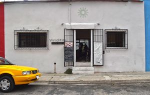  at Viriditas Cocina Vegana in Oaxaca