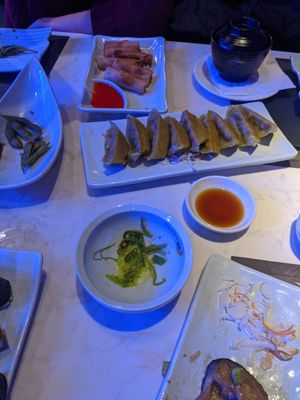  at Tsuki in Sheffield