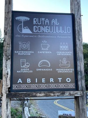 on the road at Ruta al Conguillio in Melipeuco